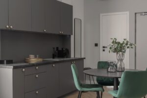 Aneks kuchenny w Apartamencie z 2 sypialniami A502 Minty Green